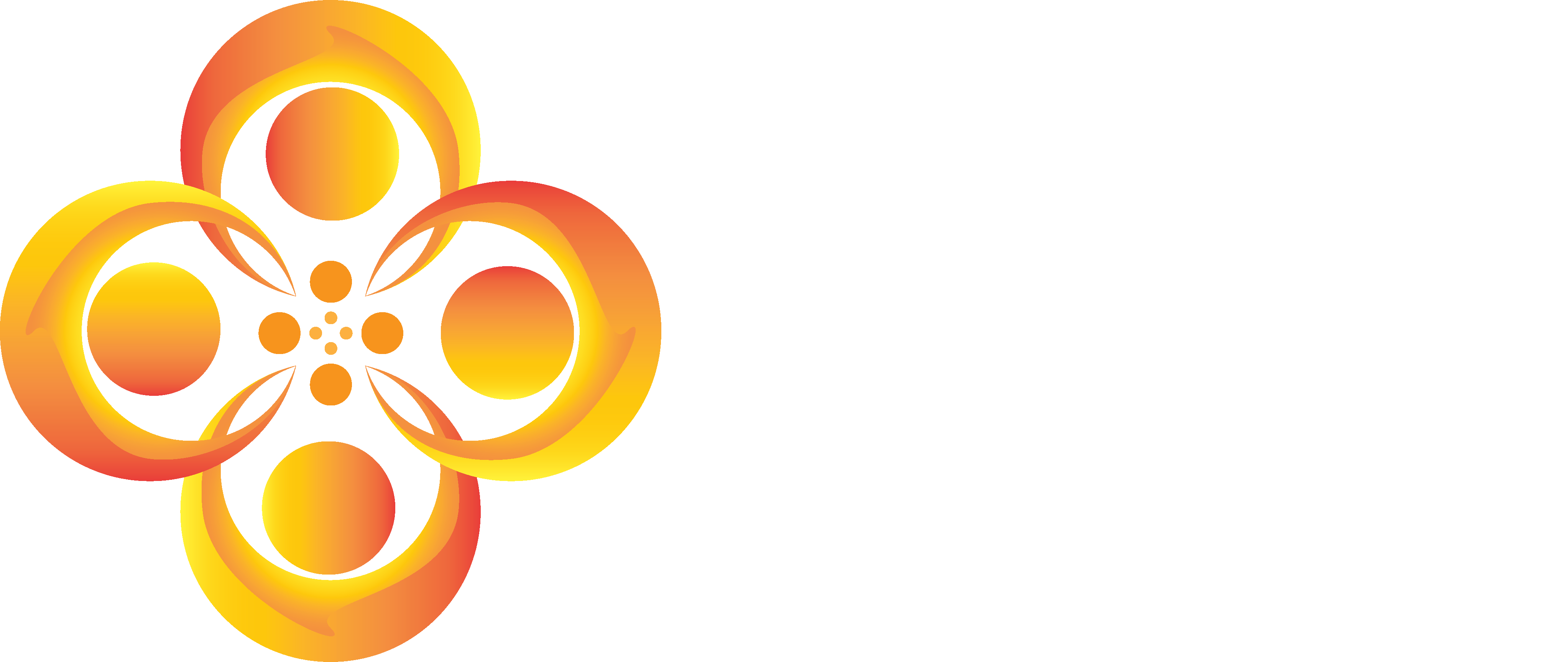 DNM Services